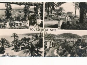 Nice [006-5417