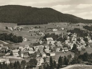 Mitteltal im Schwarzwald [006-5705