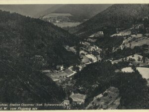 Lierbachtal -Station Oppenau [006-5783