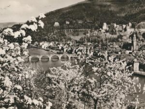 Heidelberg im Blütenzauber [006-5812