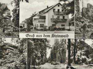 Steinwald [006-6040