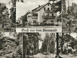 Steinwald [006-6041