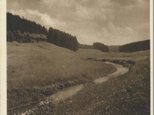 Frühling im Bodetal [006-6118