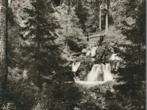 Rötenbächschlucht im Schwarzwald  [006-6174