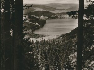 Titisee im Hochschwarzwald [006-6199