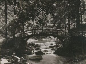 Okertal -Harz -Inselbrücke [006-6307