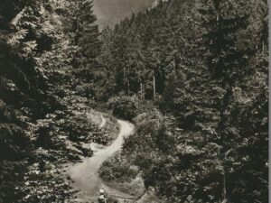 Hohegeiss -Harz -Kirchstraße [006-6330