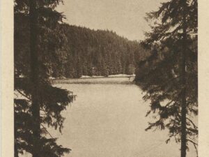 Hahneklee -Grumbachersee  [006-6366