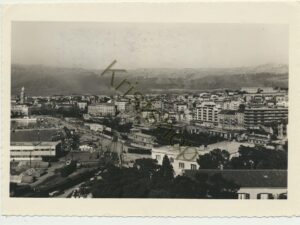 Split [006-7254