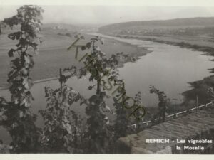 Remich - Les vignobles de la Moselle [006-7336