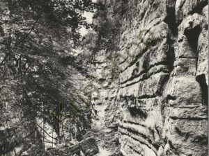 Petite Suisse Luxembourgeoise - La Gorge du Loup [006-7340