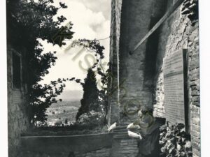 Assisi - S Damiano [006-7760