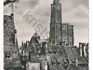 Strasbourg - La Cathedrale [006-7782