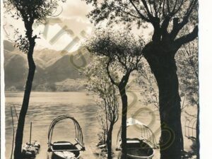 Al Lago Maggiore - presso Locarno [006-7805