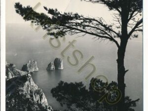 Capri - I Faraglioni da Monte Solaro [006-7883