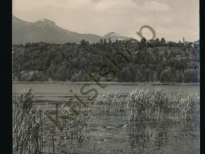 Varese - Il Campa dei Fiori ed il Sacro Monte dal lago [006-7988