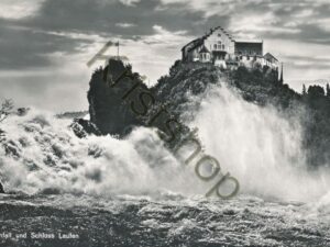 Rheinfall und Schloss Laufen [006-8104