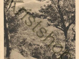 Bussang [006-8238