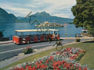 Lido-Bus - Kurort Weggis mit Pilatus [006-8245
