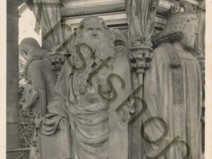 Dijon [006-8272