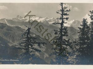 Stanserhorn - Panorama [006-8354