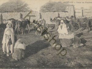 Algerie - Dans un Fondouk - camels [006-8419