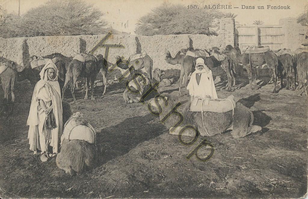 KRST006-8419_0.jpg Algerie - Dans un Fondouk - camels [006-8419