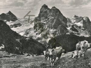 Rosenlaui - Well- und wetterhorn  [006-8537