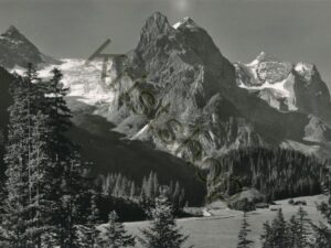 Rosenlaui [006-8538