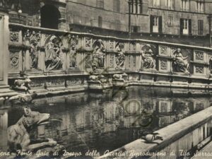 Siena [KRST007-0065