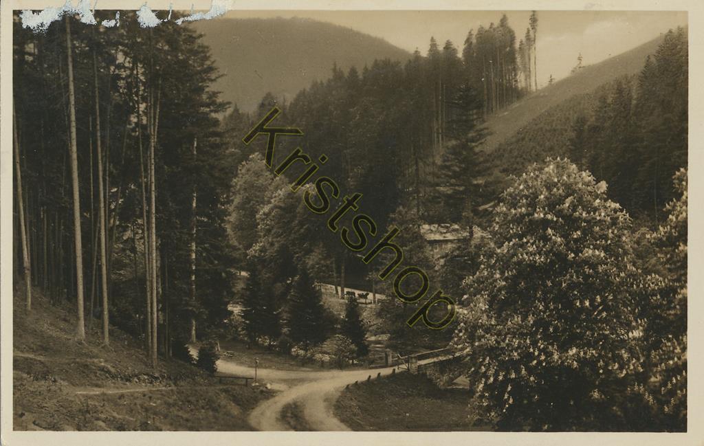KRST007-0208_0.jpg Promenadenwege zur Frühlingszeit am Schweizerhaus [KRST007-0208