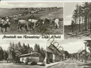 Neustadt am Rennsteig / Thür. Wald [KRST007-0349
