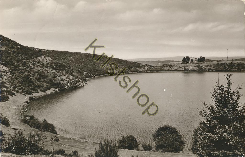 KRST007-0479_0.jpg Daun / Eifel - am Tottenmaar [KRST007-0479