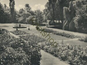 Neuß am Rhein - Rosengarten [KRST007-0630