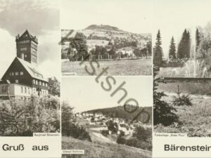 Bärenstein [KRST007-0793