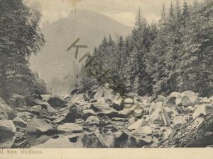 Okerthal beim Waldhaus [KRST007-1044