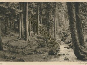 Tabarz - Im Lauchagrund [KRST007-1062