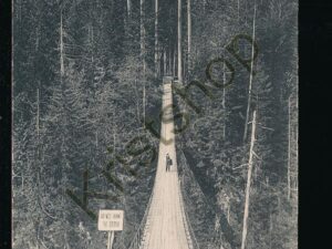 Suspension Bridge - Capilano Canyon  [KRST007-1249