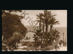 Monte-Carlo - Les Terrasses  [KRST007-1382