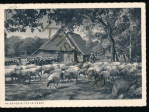 Heidehof mit schafherde [KRST007-1780