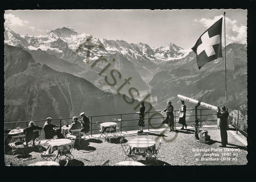 KRST007-1825_0.jpg Schynige Platte mit Jungfrau [KRST007-1825