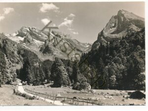 Obertoggenburg - Kühboden [KRST007-2124