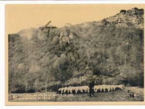 Chemin de Fer de la Grotte de Han  [KRST007-2143