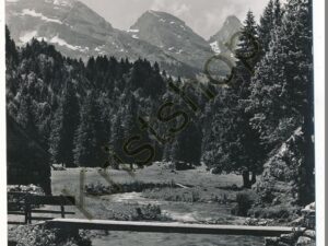 Obertoggenburg - Alpi mit Churfirsten [KRST007-2308