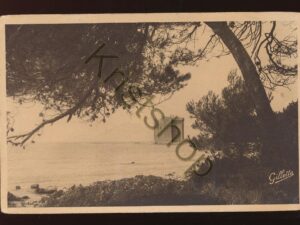 Côte d'Azur - Environs de Cannes  [KRST007-2642