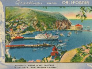 Santa Catalina Island - California  [KRST007-3173