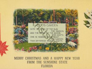 Florida - Merry Christmass and a Happy New Year [KRST007-3189