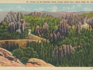 Black Hills, So Dak - Needles Road  [KRST007-3297