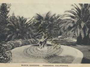 Pasadena, Calif - Bush Gardens [KRST007-3372