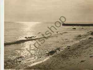 Foto Hoffmann - Heinrich Heine [KRST007-3755